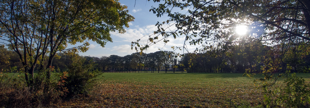 Wide landscape image of Clifton Park in Autimn with low sun and fallen leaves.