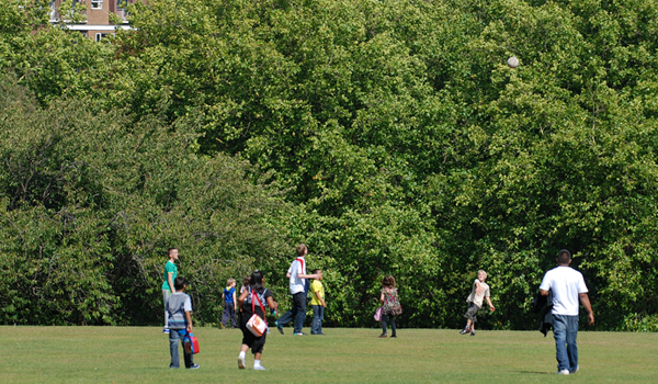 Groups of people having fun on the grassed areas of the park