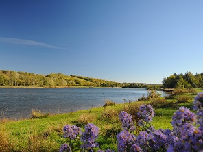 Share your views on improvements to Rother Valley Country Park