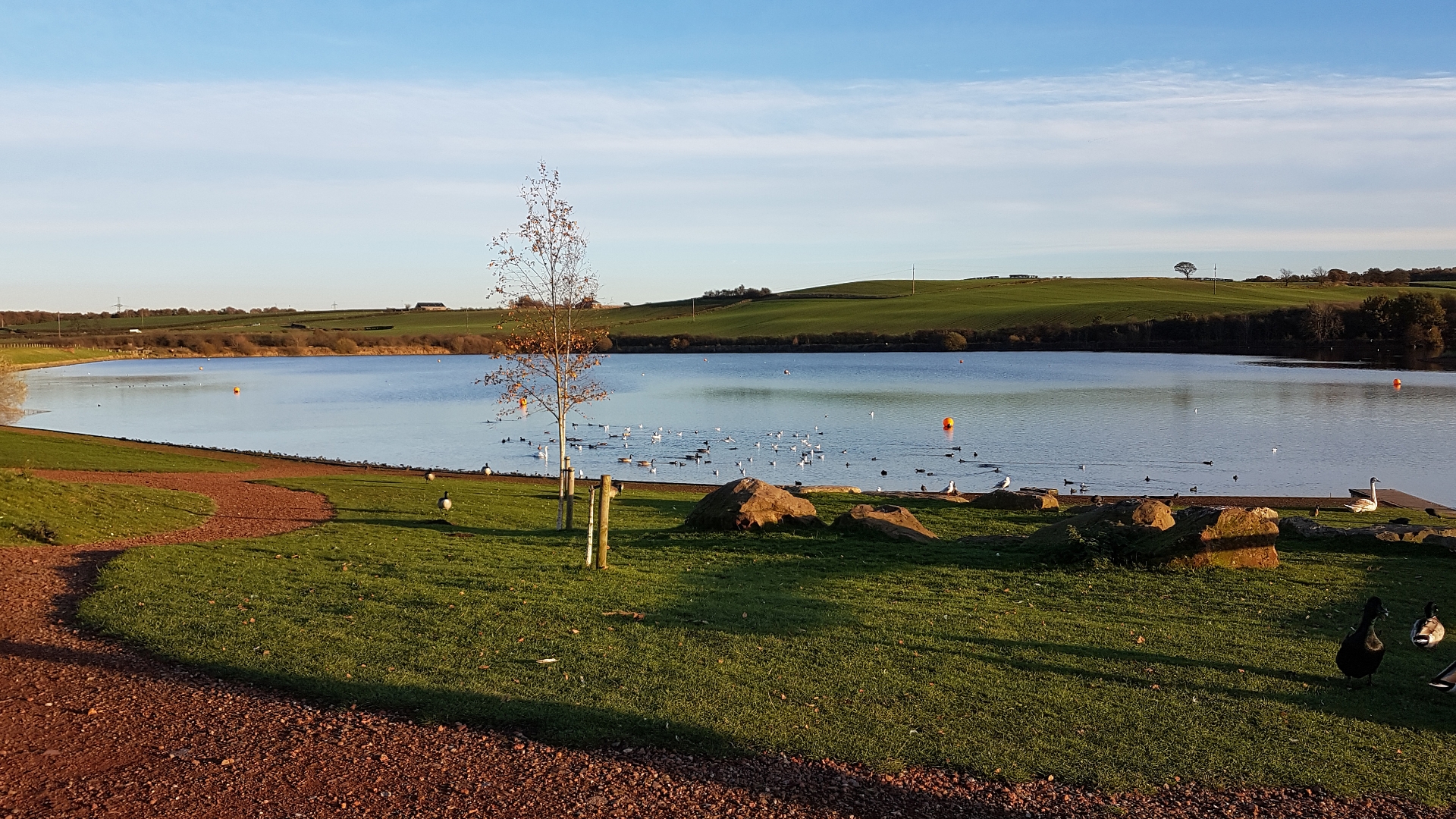 A lake with some ducks sat on it and in front of it.