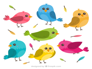 Image of different coloured cartoon birds