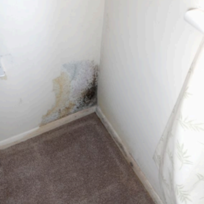 Mould in the corner of a bedroom wall near the floor