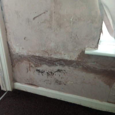 Damp on a wall