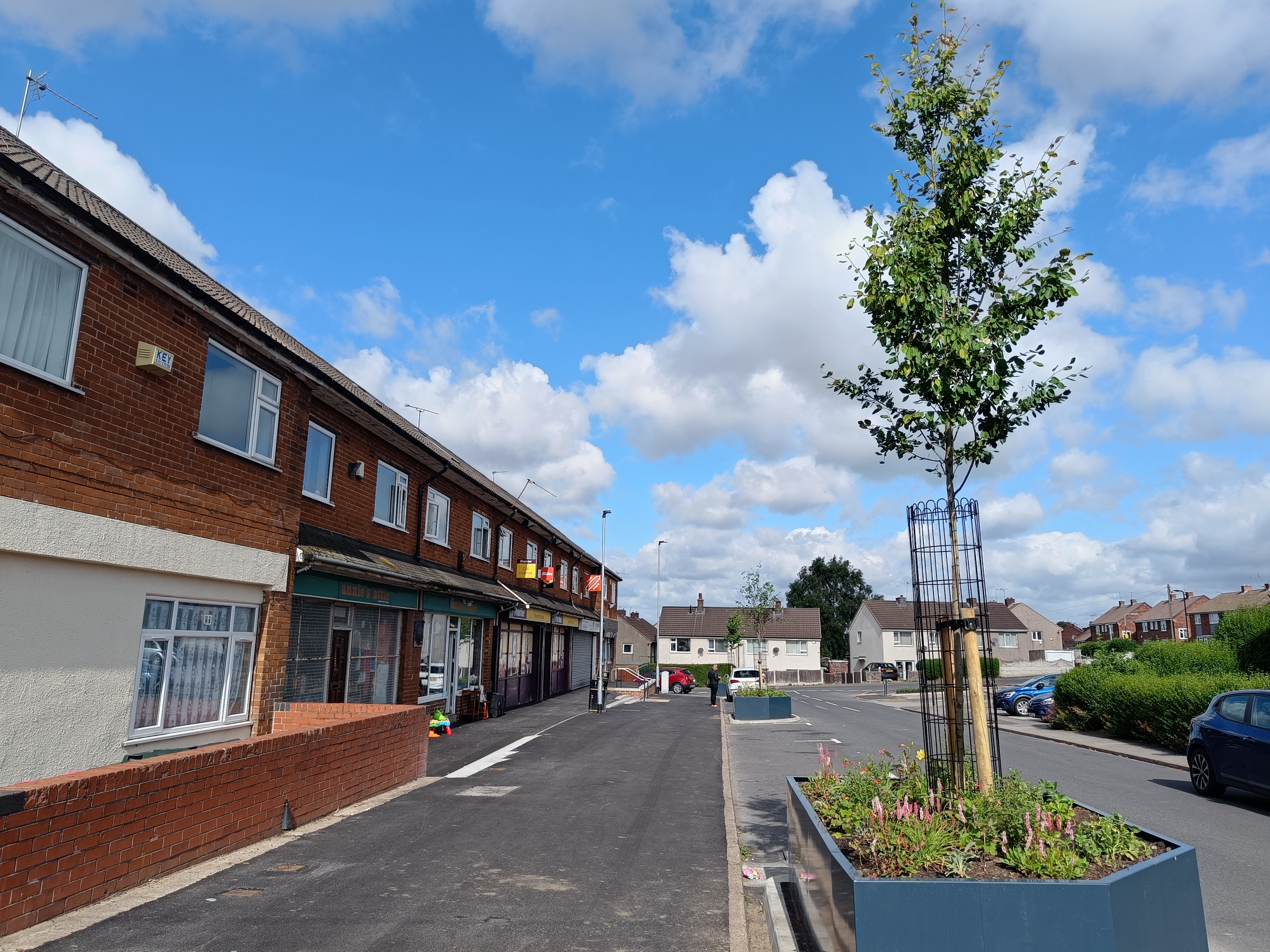 Aughton pavement and trees