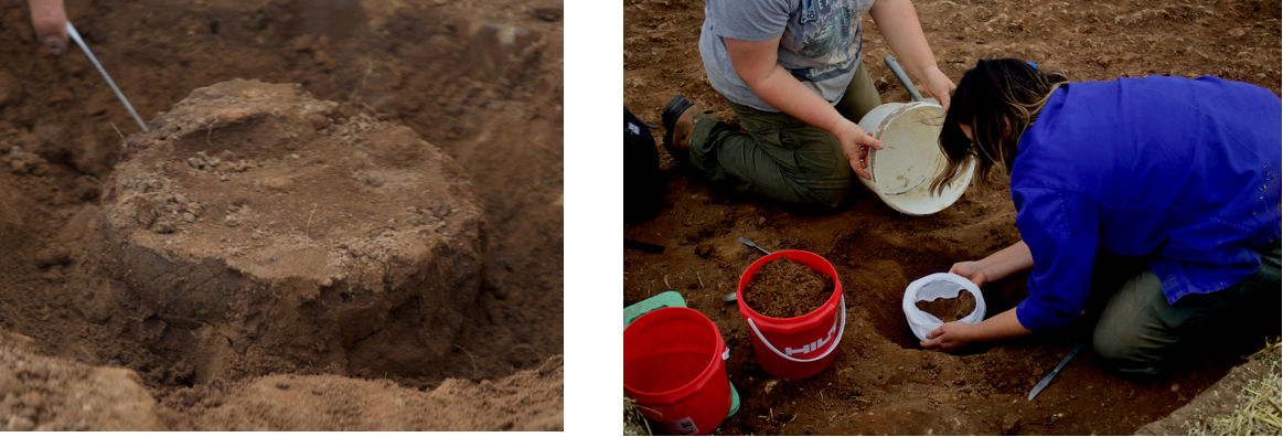 Environmental samples being taken