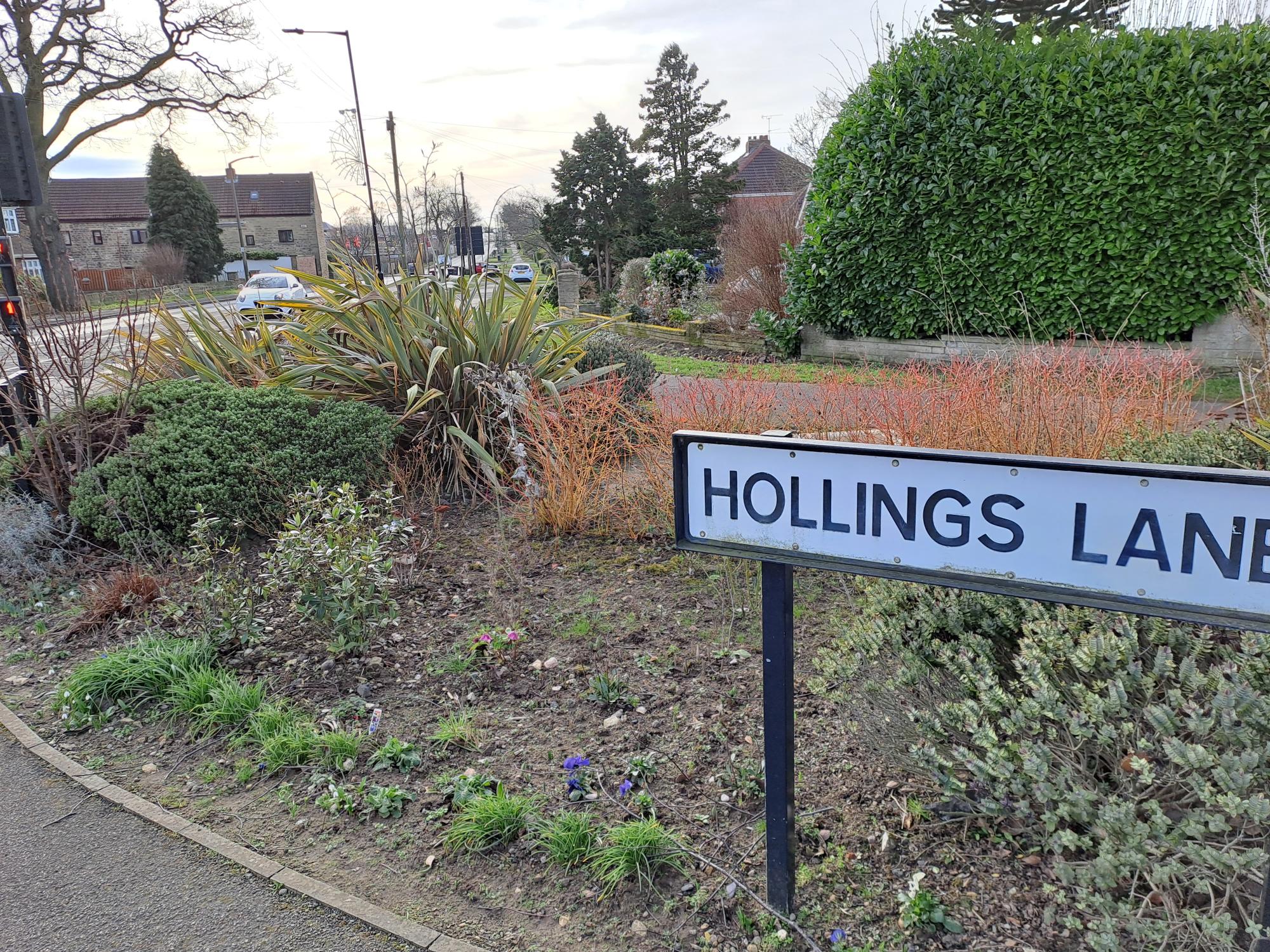 Hollings lane sign