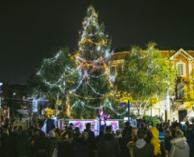 Christmas Tree Light Switch On