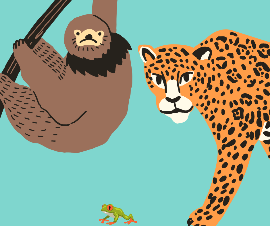 leopard and sloth illustration