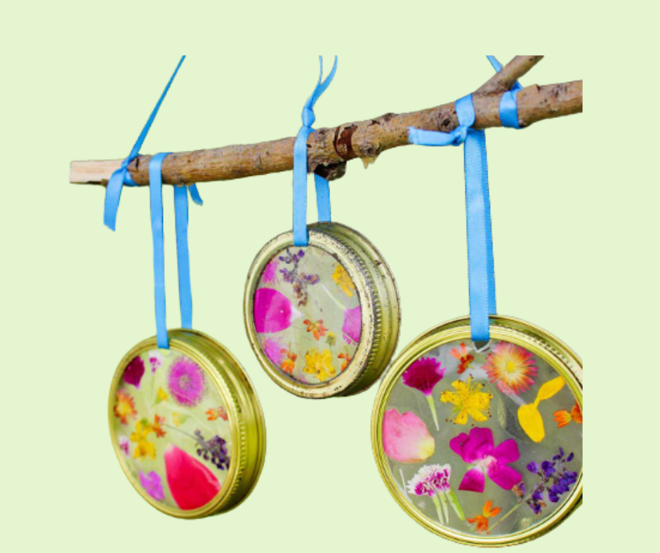 Pressed flower sun catchers