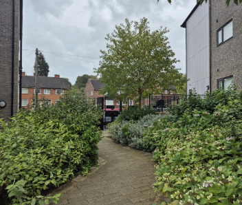 A stone path with green shrubbery either side.