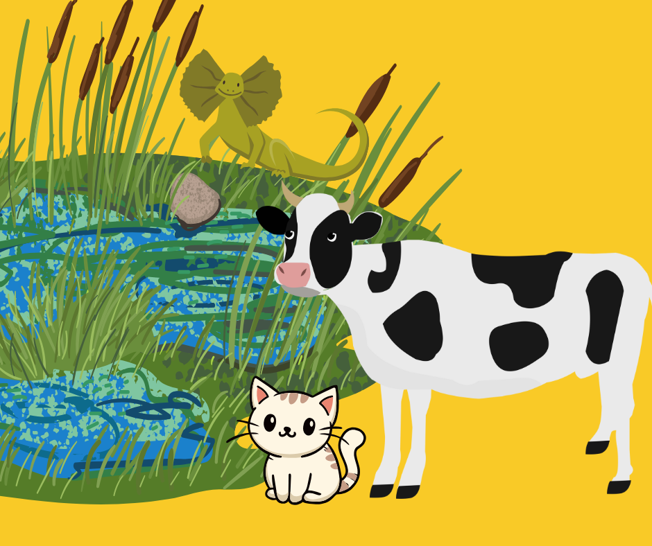 Cartoon cow and cat at a pond with plants growing out of it.