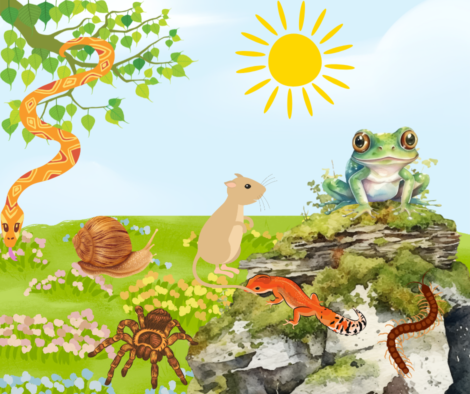 Several different animals gather on a grassy plain.