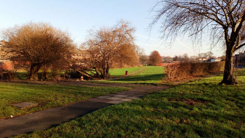 Greasbrough site showing grassed area and broken trees