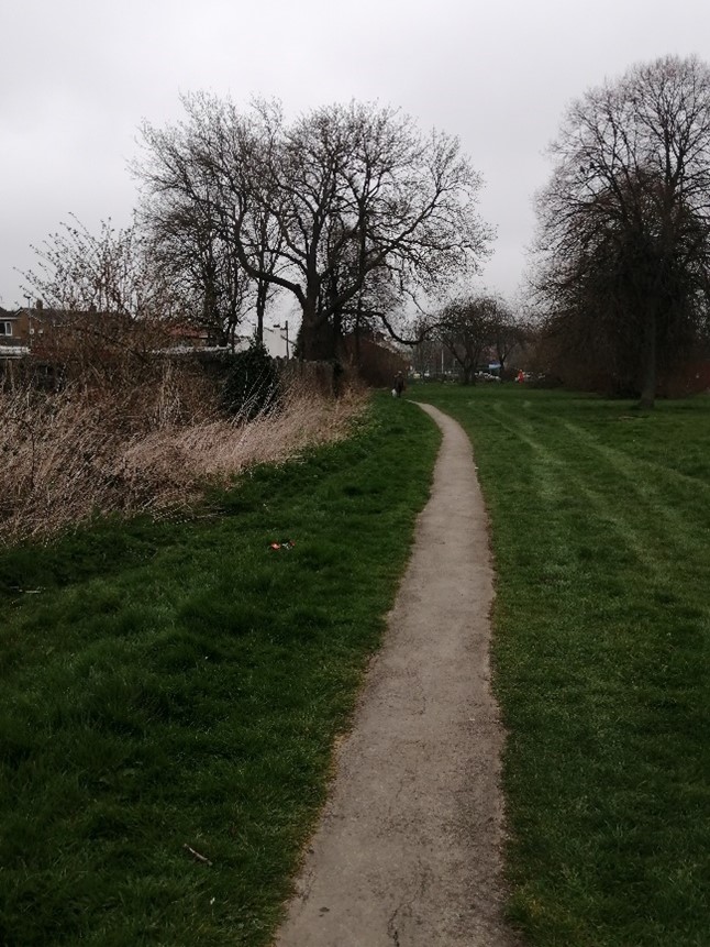 Site issues showing over-hanging trees