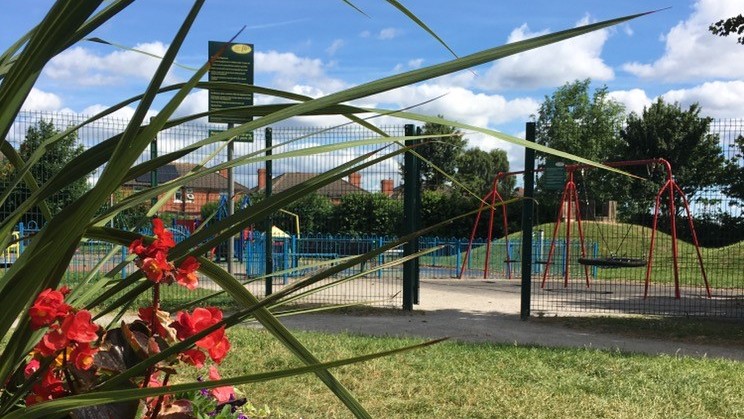 Flowers with play park in background