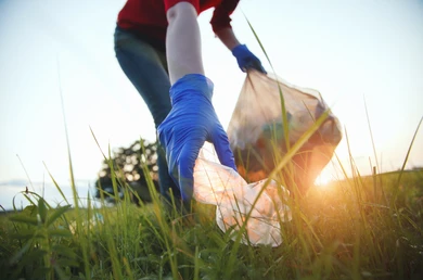 Litter pick