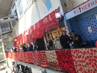 Poppy collage draped around indoor market walkways
