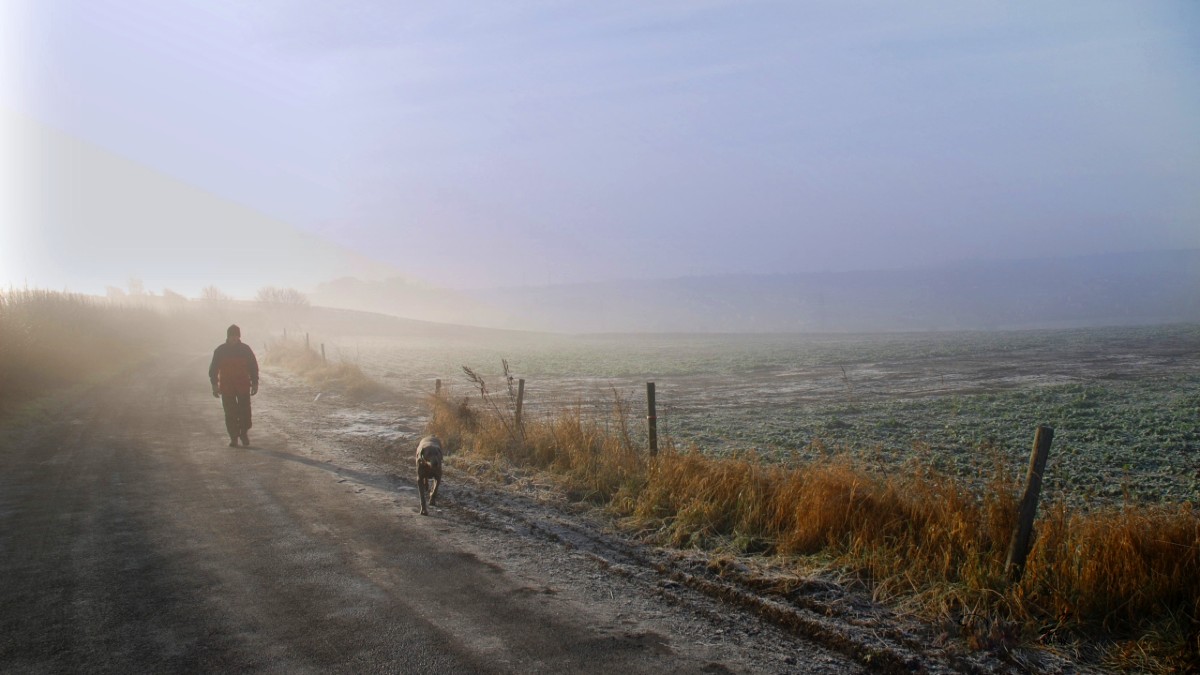 Frosty country lane with dog walker