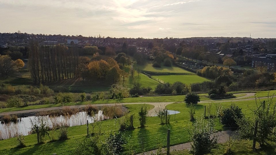 Valley Landscape